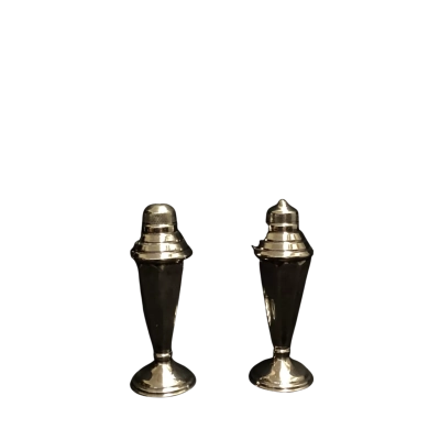 Silver Plated Salt and Pepper Shakers