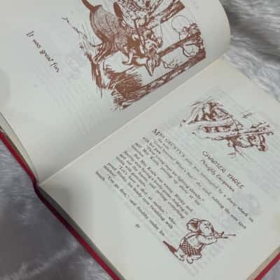 Blinky Bill children’s book