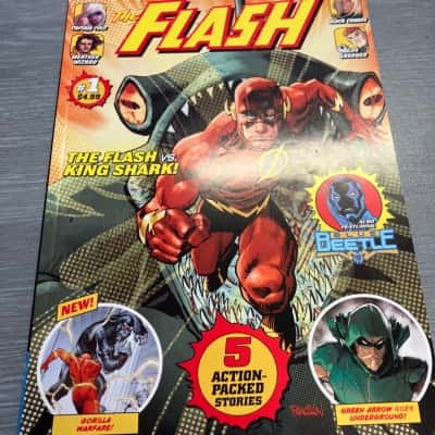 The flash issue 1 