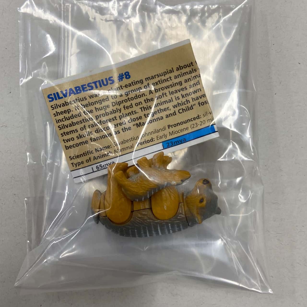 Image Tester
