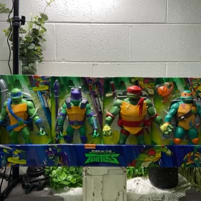 Rise of the Teenage Mutant Ninja Turtles