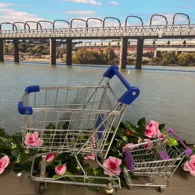 2x novelty metal shopping trolleys- please read description 
