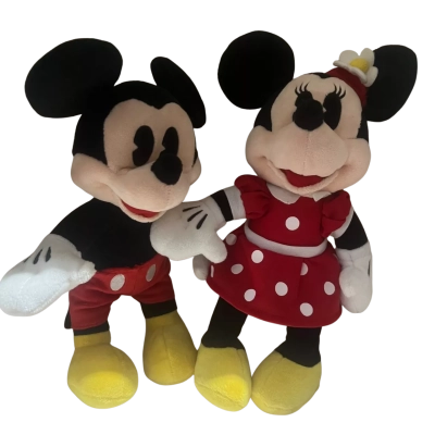 Mickey and Minnie Mouse Set