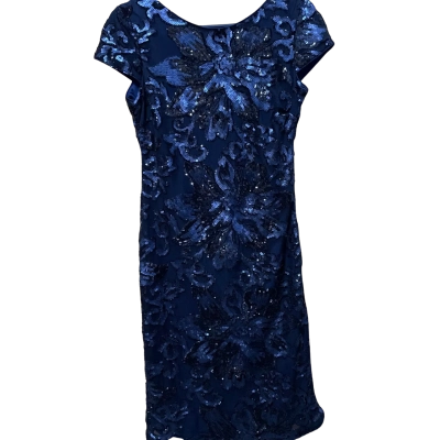 BNWT Liz Jordan Size 10 Dress