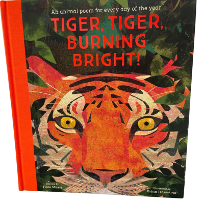 Tiger Tiger Burning Bright Fiona Waters