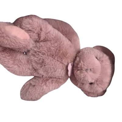 Histoire d’Ours Paris 1985 Bear