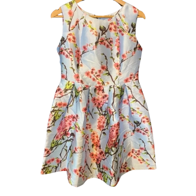 Chasing Kate Size 14 Cherry Blossom Dress