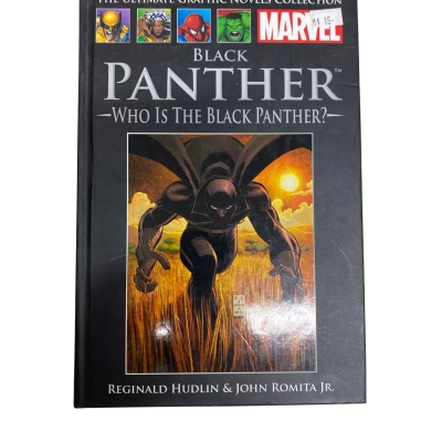 Marvel Black Panther | Who is the Black Panther? - Reginald Hudlin