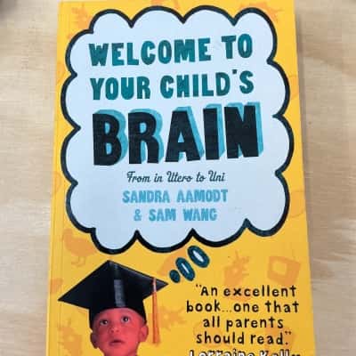 Welcome to your child’s brain