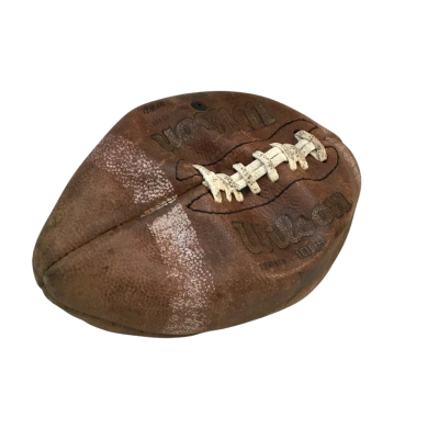 Vintage Wilson NFL Football 