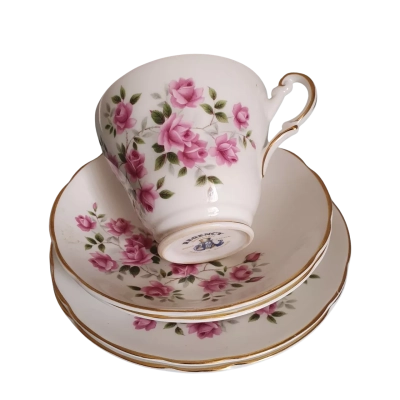 Vintage Regency Cup, Saucer (2), Plate (2) Set