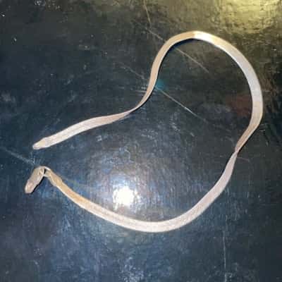  Women's Bracelet Marked 925 Italy