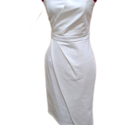 Loreta Bodycon Dress NWT
