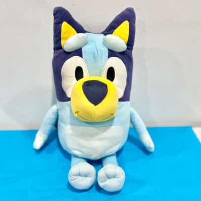 Bluey Plush Toy & Sleepytime  Hard Cover Book