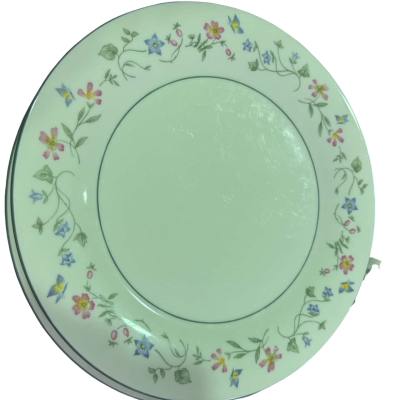 Expressions Florentina A Royal Doulton Pro