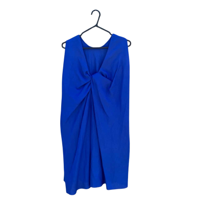 Womens COS Size 8 Sleeveless Dress Blue BNWT