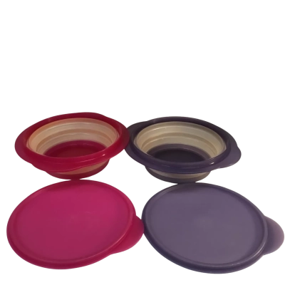 Tupperware Bowls x 2 with lids