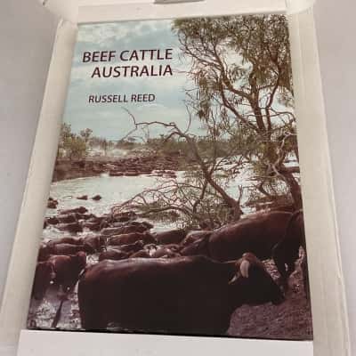 Beef Cattle Australia 