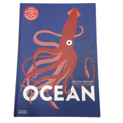 Helene Druvert - Ocean Hardcover Book