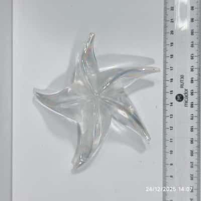 Murano Style Clear Opaque Iridescent Starfish Paperweight Glass 