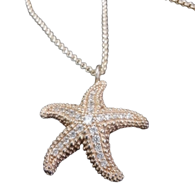 THOMAS SABO Womens Necklace  925 Silver Star and 925 Silver Chain