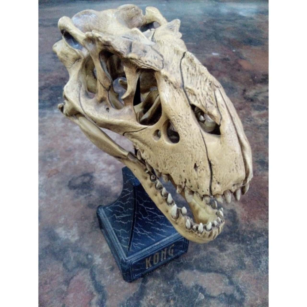 Kong V-Rex Skull Weta Collectables 194/4000(s) - Used Good