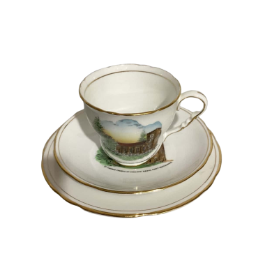 Royal Staffordshire Tea Set