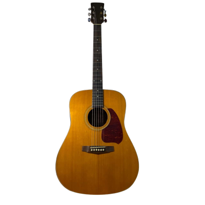 Ibanez Acoustic Guitar