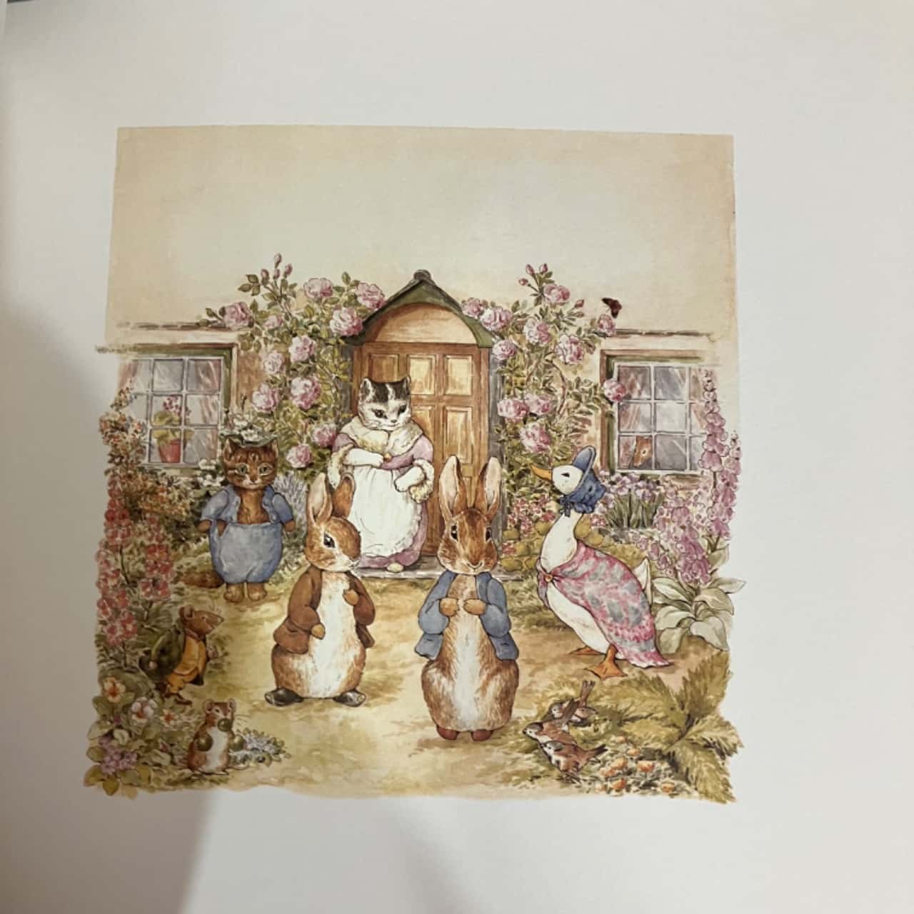 Image Tester