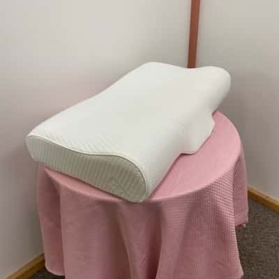 Ecosa Backrest Pillow