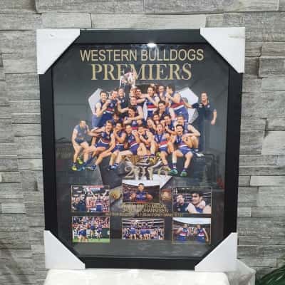Western bulldogs 2016 premiers team photo bulldogs v swans
