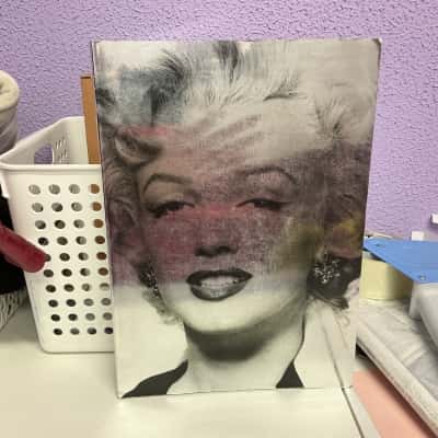 Marylin Monroe and the camera