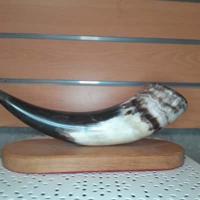 Vintage animal horn on base wall or table display
