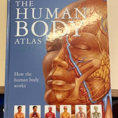 The human body Atlas