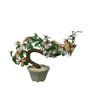 Jade Bonsai Three 