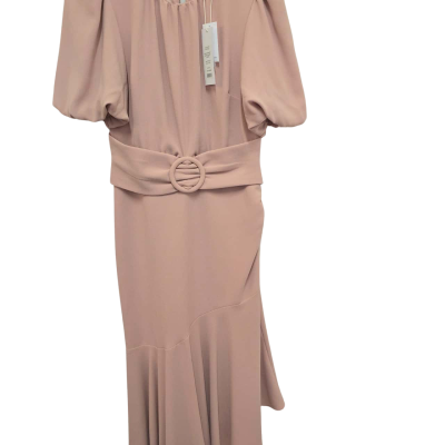 Forever New Womens  Size 10 Maxi Dress Pink  size 10