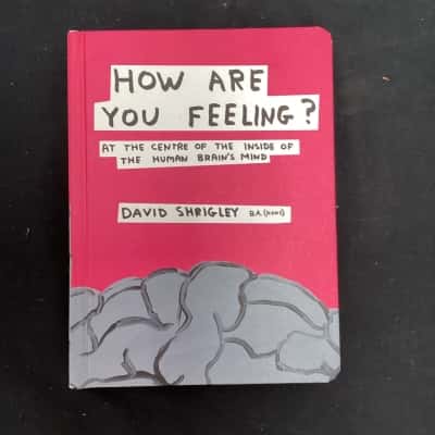 How are you feeling? By David Shrigley