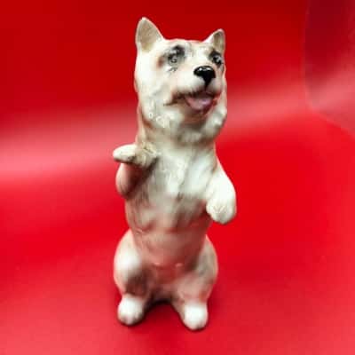 Royal Doulton - Vintage Cairn Terrier "Begging for a Treat". Made of Fine Bone China. 10 cm tall  4 cm wide