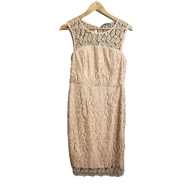 Womens Basque Size 10 Pink Dress