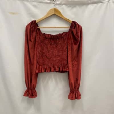 Zara Women's Size S Long Sleeve Velvet Top Brown 