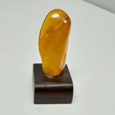 Baltic Amber Specimen Mounted on a Wood Block