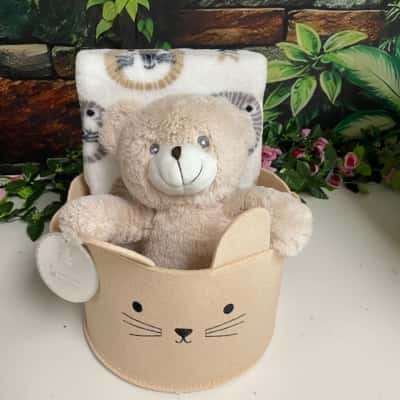 Kids Plush Teddy & Blanket 