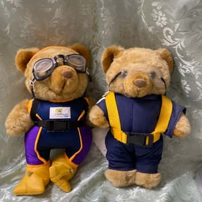 Careflight Bear Bundle