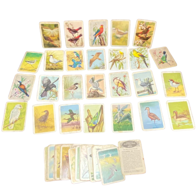 Vintage Tuckfields Series Cards - Australian Birds