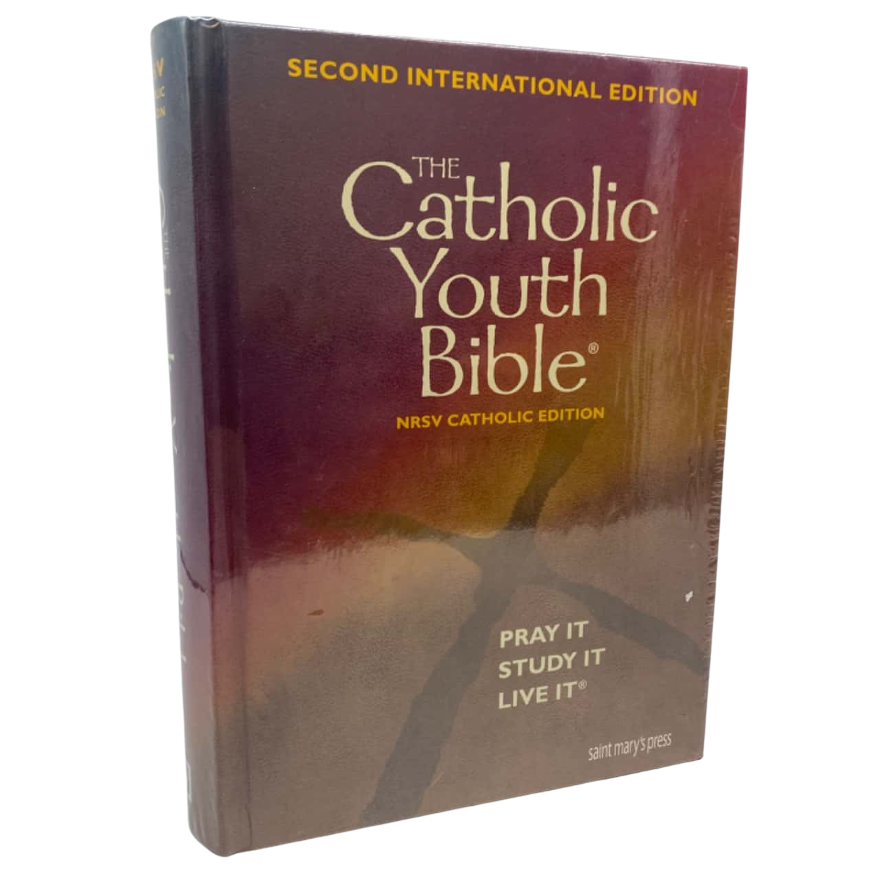 new-sealed-h-c-the-catholic-youth-bible-second-edition