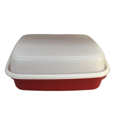 Tupperware Meat Container 