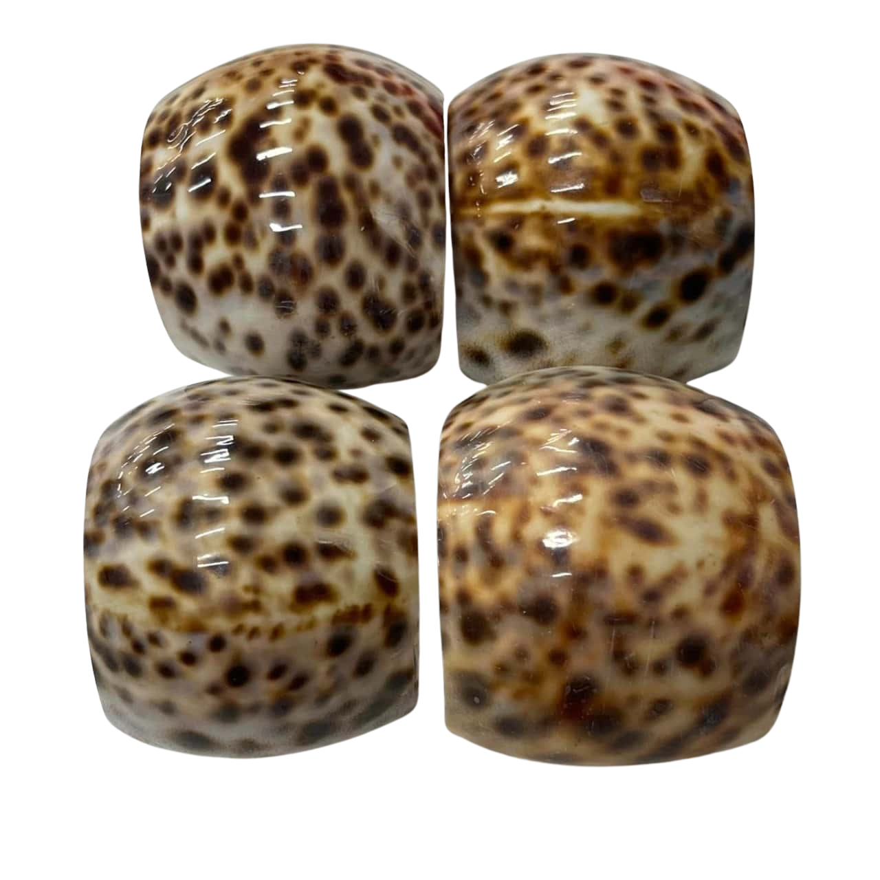 Cowrie Shell Napkin Rings x 4 - #2