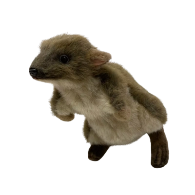 Hansa International Potaroo 3850