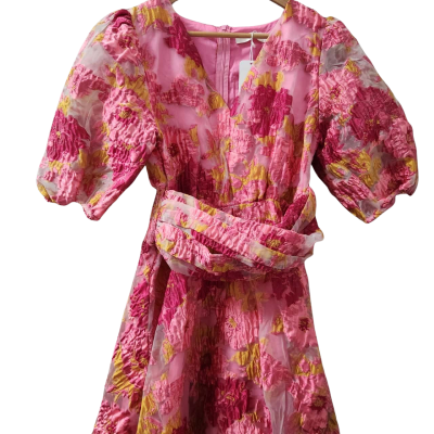  Gingham&Heels Womens Size 12 Pink Floral Dress 