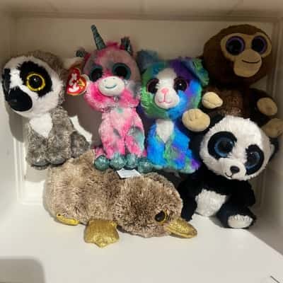 TY Plushies - Set of 6